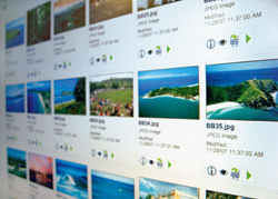 Digital Asset Management web view