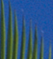 DPIEnlargedImage
