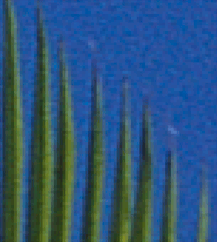 DPIImageCrop