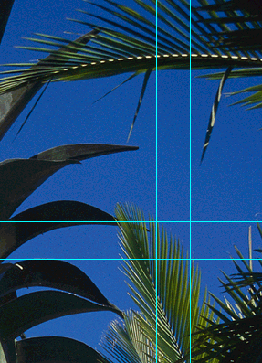 DPIImageExample
