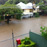 The Big Wet 2011